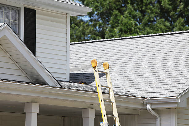 Affordable Siding Repair and Maintenance Services in Minor, AL